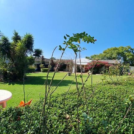 Blue Mango Lodge Kempton Park Exterior foto
