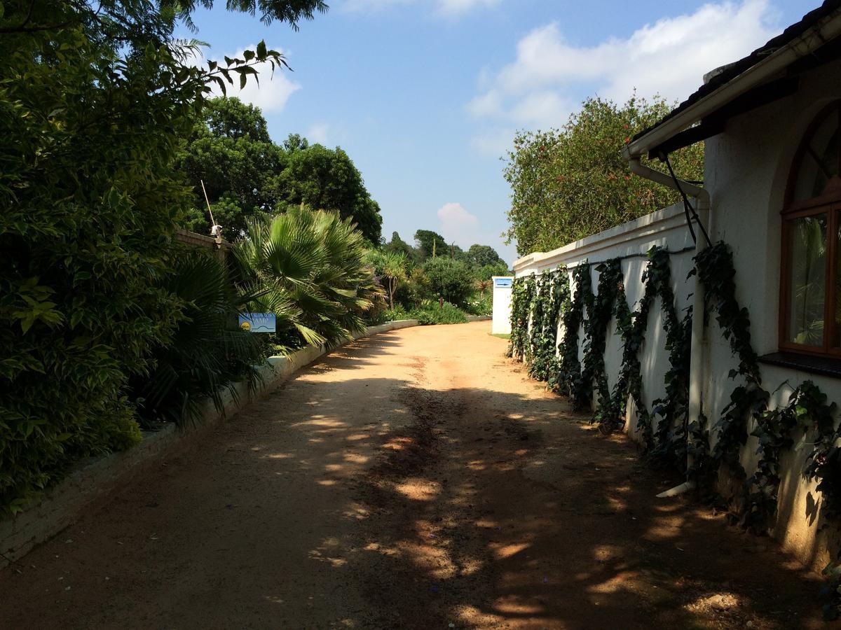 Blue Mango Lodge Kempton Park Exterior foto