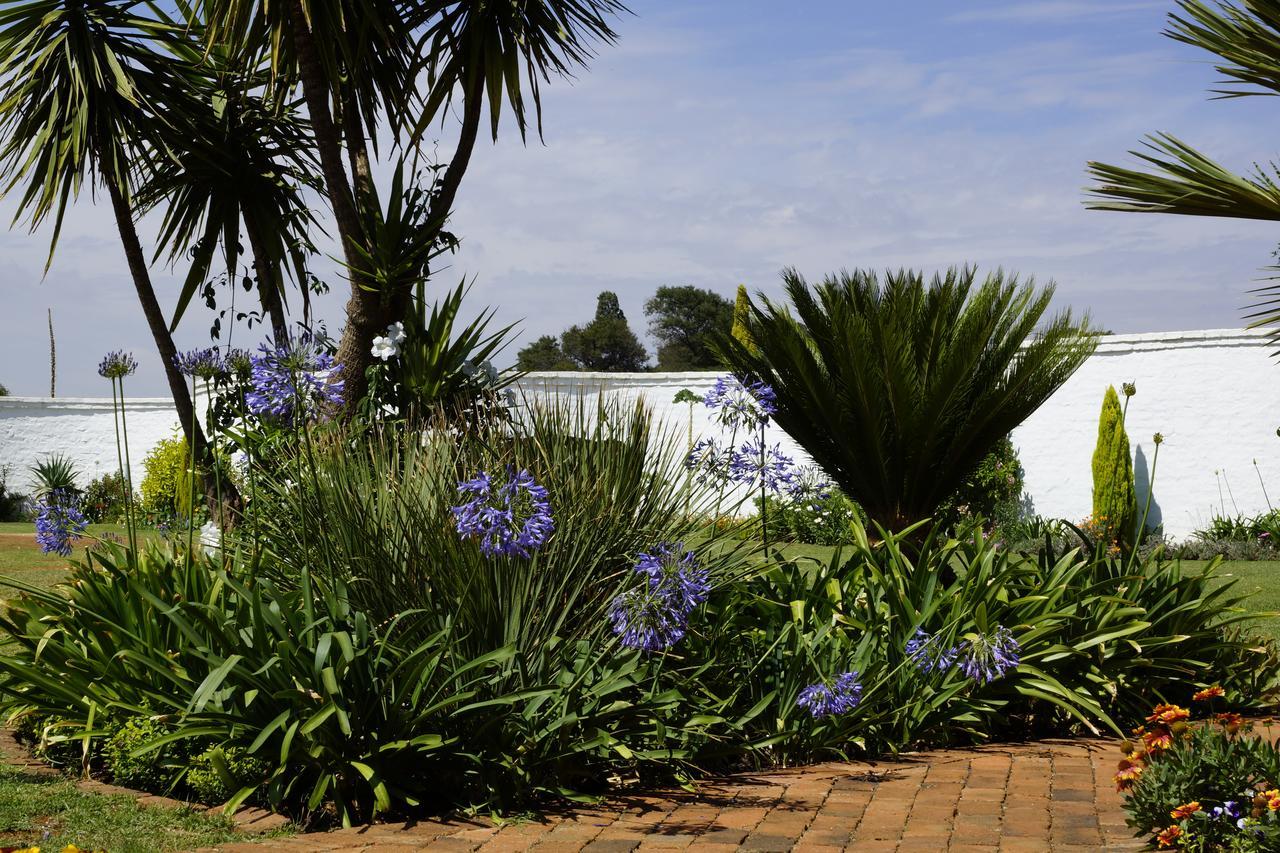 Blue Mango Lodge Kempton Park Exterior foto